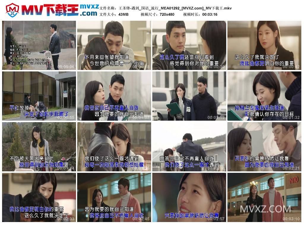 王圣锋-遇到_国语_流行_MEA01292